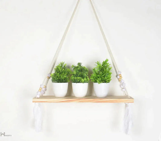 Hanging Shelf